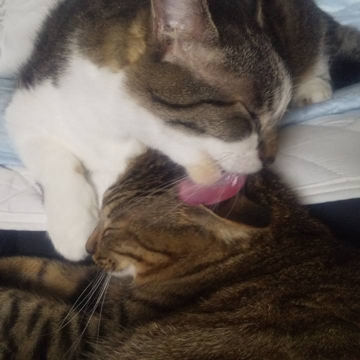 1af12d55 abb5 4fae 83e0 5fe23d77dd89 1695788593780