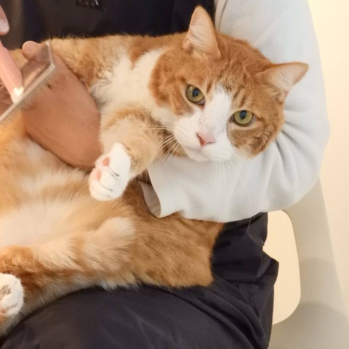 1af12eb4 94ac 41ff ab1a f6fd0547aa7b 1767529826772