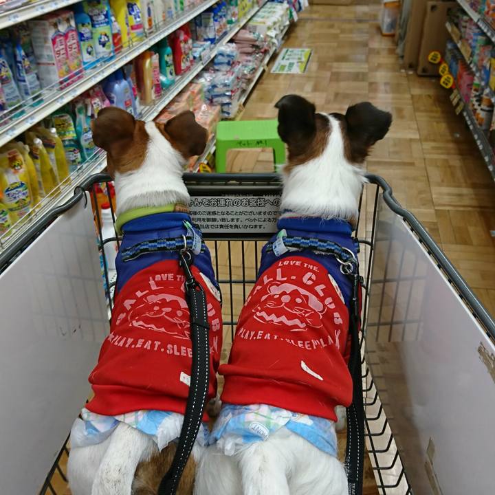 1af134a6 6085 42c7 816e 657653af2234 1552729352830