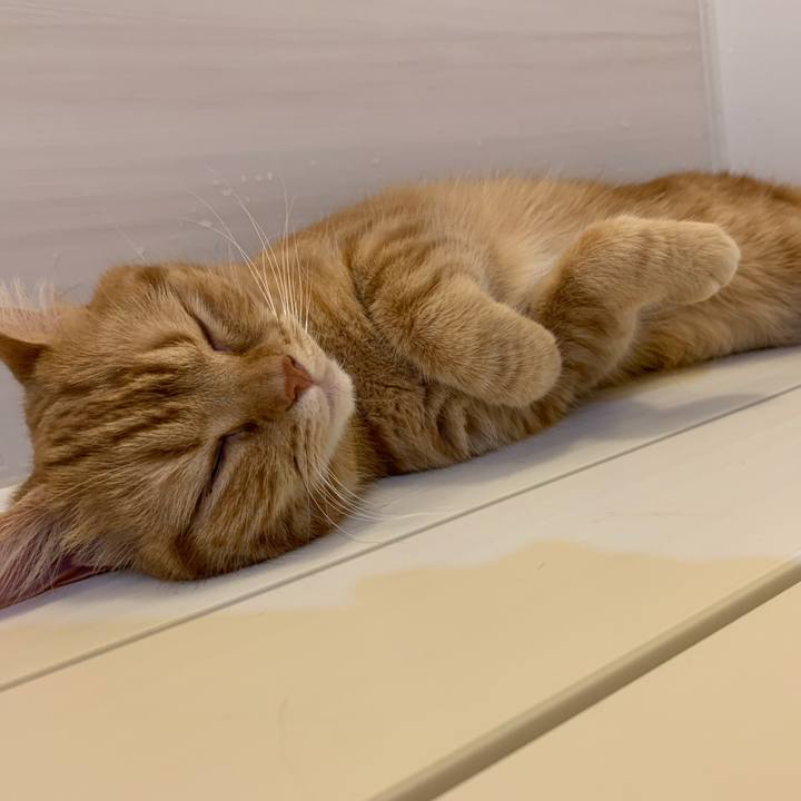 1af18bae 09bf 49a3 83e2 25156b172f6f 1621509373300