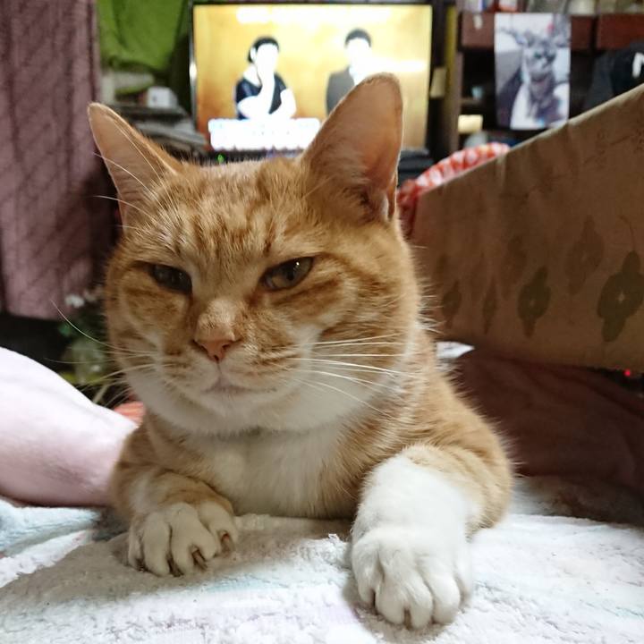 1af1bfb7 0de1 4ad6 92fc 88eb74a99282 1608541317926