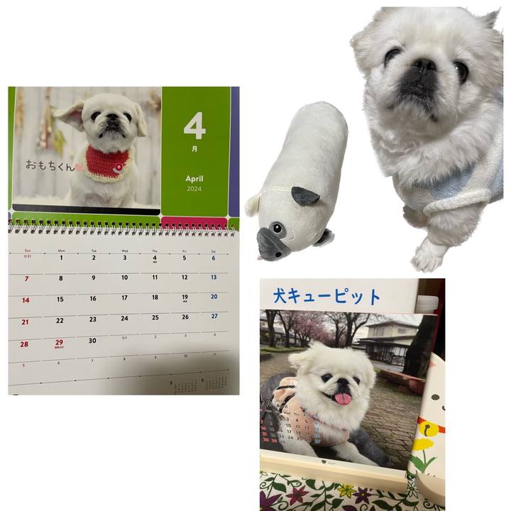 1af1d547 9920 4460 8bc2 2eeb5c7843d2 1711921181748