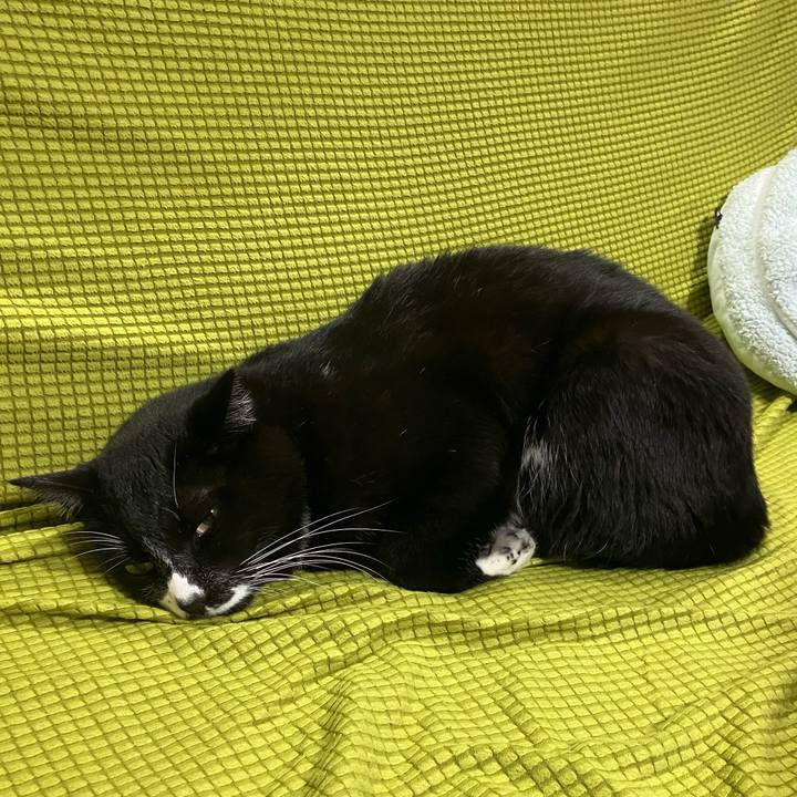 1af1e062 0173 42d8 a40d 0e2123d1722f 1769066650554