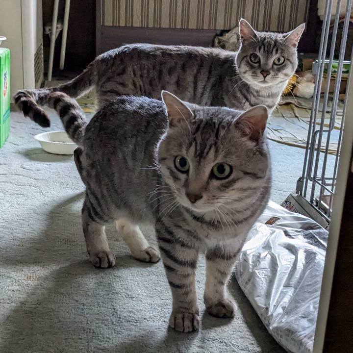 1af1e241 b9b4 4991 a863 a3ab93781bd2 1721638878449