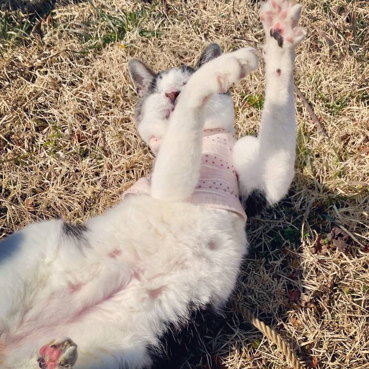 1af1eb51 f9cd 4566 805d ad90e949b214 1613888050363