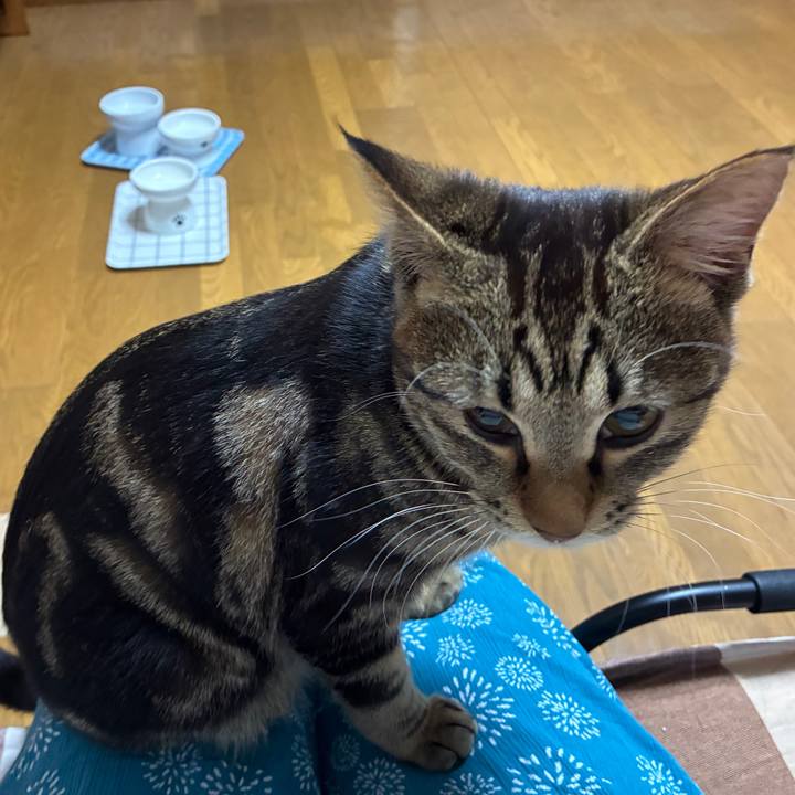 1af21f11 d6ef 4082 9c6f f7f3ae203bc6 1748864772843