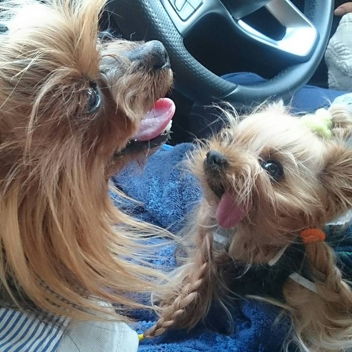 1af25877 234b 4f3b 8397 e8420a7002b1 1536987293617