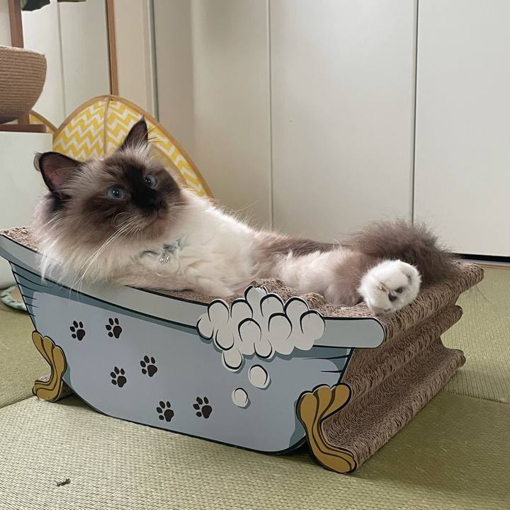 1af2a587 895d 486a 8e99 6b01ba7e4bee 1629197424721