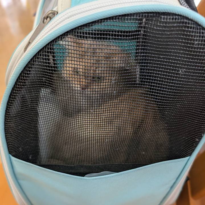 1af2abae 7423 45aa b8c2 7b11c8ef6ee7 1758270672931