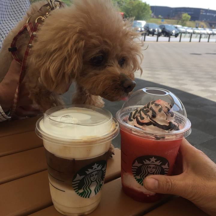 1af2c921 c009 4fc3 8cac 6732066555af 1524281806200