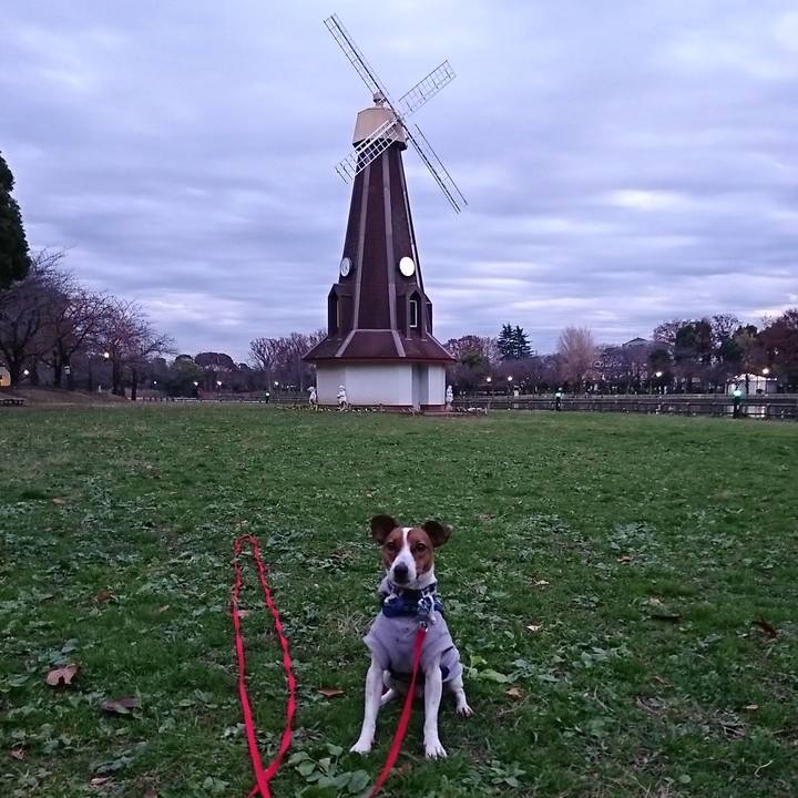 1af2da0c dbb5 4ea8 9d56 4dd813392551 1544605793383