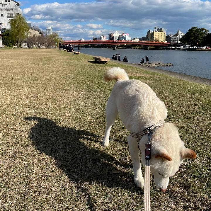 1af2dc0c 8231 4d72 9bde 05ab2a620231 1637857788015