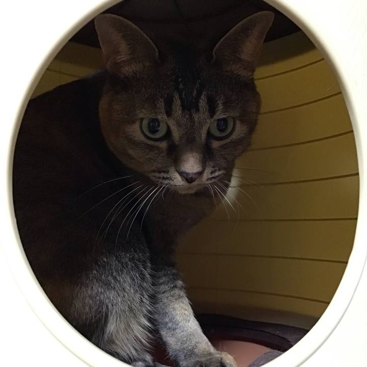 1af2f923 2bbc 41cd 95cf 382017790a3a 1735219283106