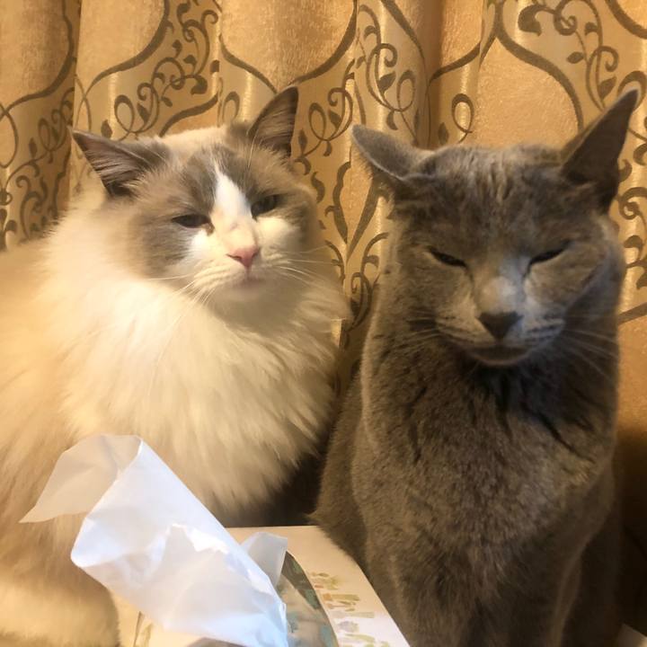 1af2fc52 033d 42dd 8473 301280b1295a 1579081979442