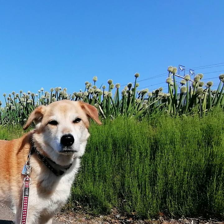 1af3109d 6a9c 4653 82d0 c961efc162d4 1588724250814