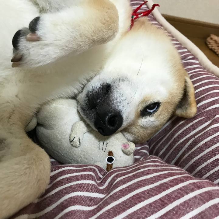 1af3194d 9b85 4de3 9725 33ab36ab749e 1524394276636