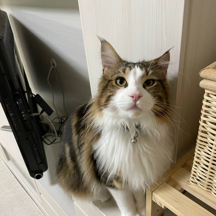 1af3683c bad6 4025 8f99 7c4cb0d442c7 1649017337998