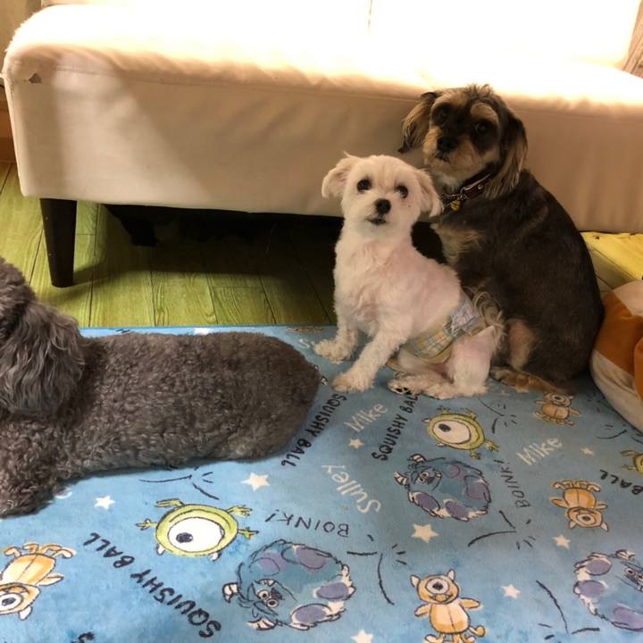 1af372be 9ddd 48db 8968 58a43460c24d 1570539896981