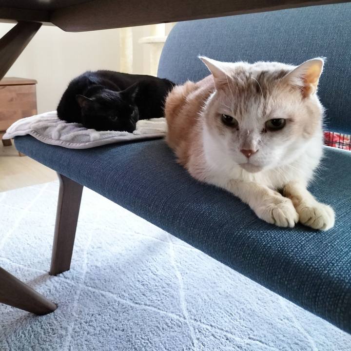 1af38344 ced1 4dc6 8469 3b0e6b0cd86a 1703457475679