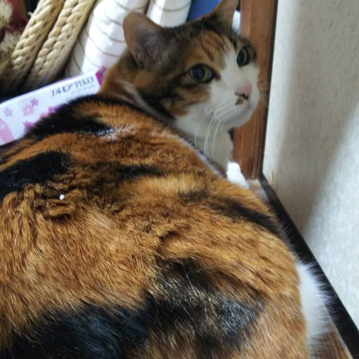 1af3902f 66fe 45c2 9efc 51770186863f 1550441963637