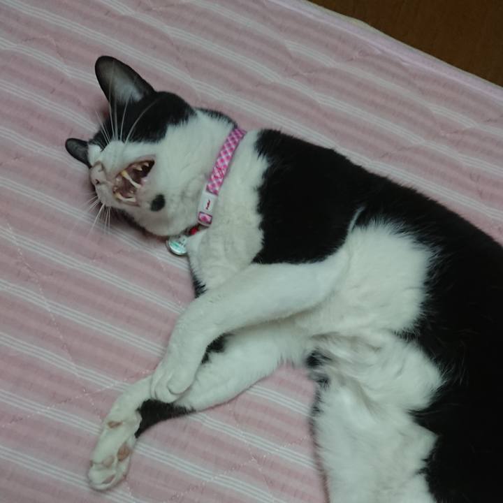 1af3adac bfd8 4752 97d5 a5f5d6a12f8d 1606523927847