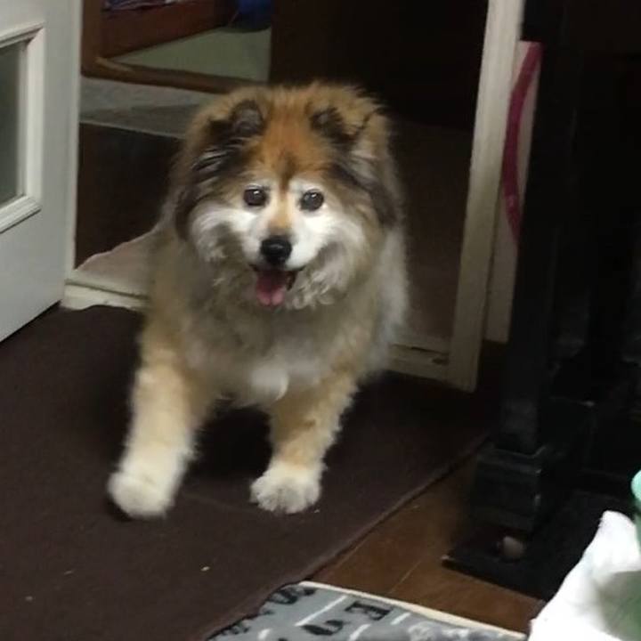 1af456d8 e03b 49ab 8b6c 23ec360cad4c 1616506722992