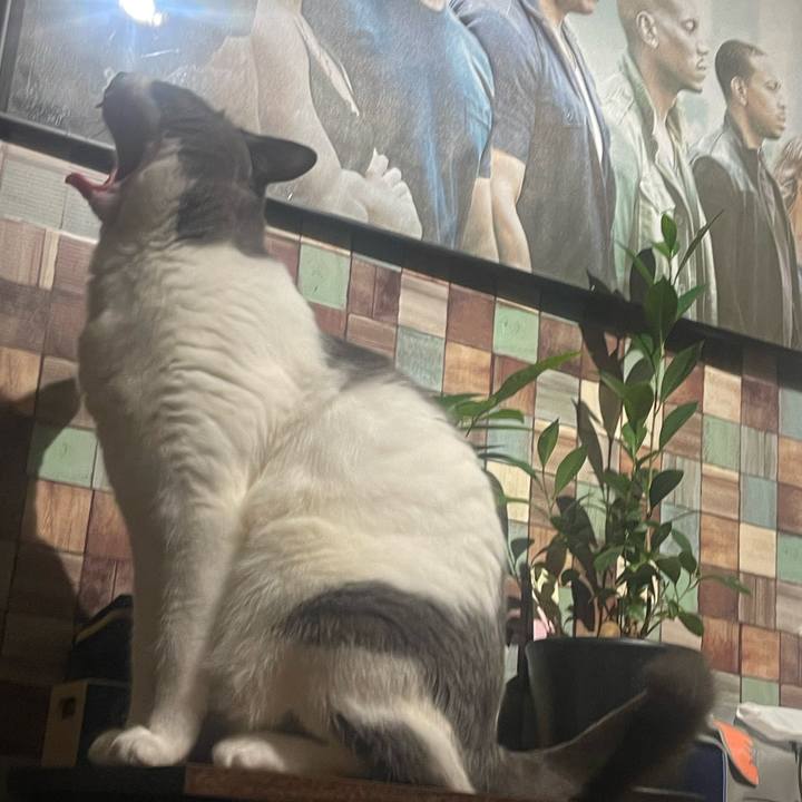 1af46642 961f 46ba 896e ef894159a908 1720367931641