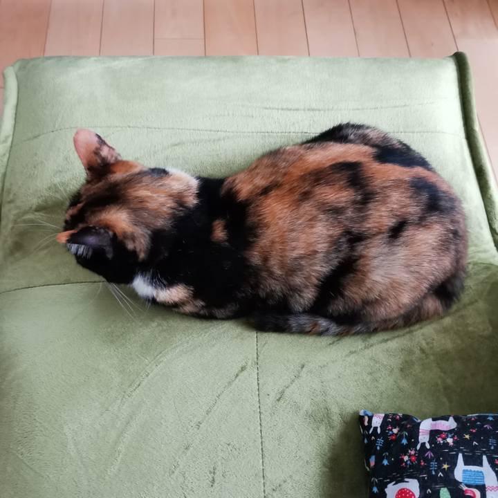 1af4758a ce86 4ec4 95b4 3ea8c782db89 1626173813654