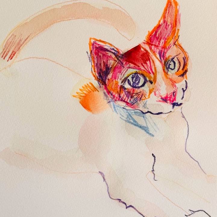 1af4b6db 253d 441b 97b8 60b1ed95ee58 1771581617167