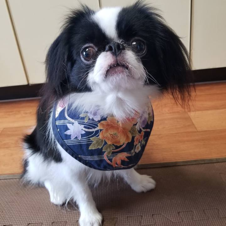 1af4b825 e829 42ca bc85 ebef7abd8c83 1661950365524