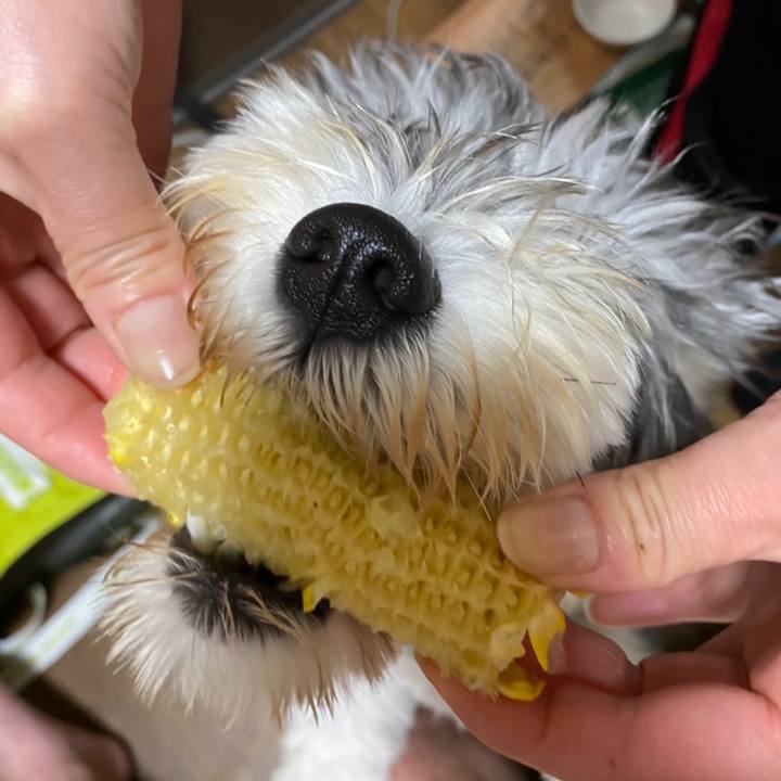 1af4eacf b22e 48c0 acc8 ed6f214ae0d6 1592832396164