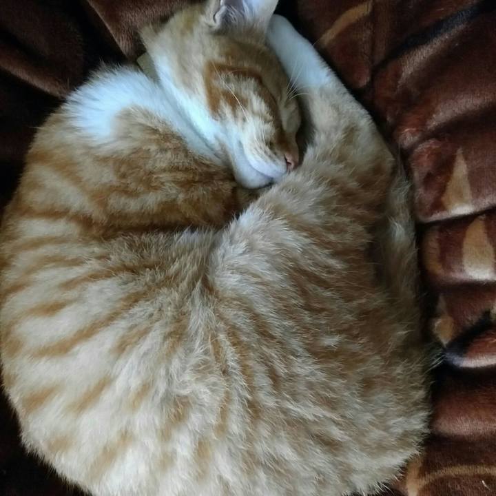 1af4f03f e226 4b7a a0c8 e5162f8528ab 1557169102618