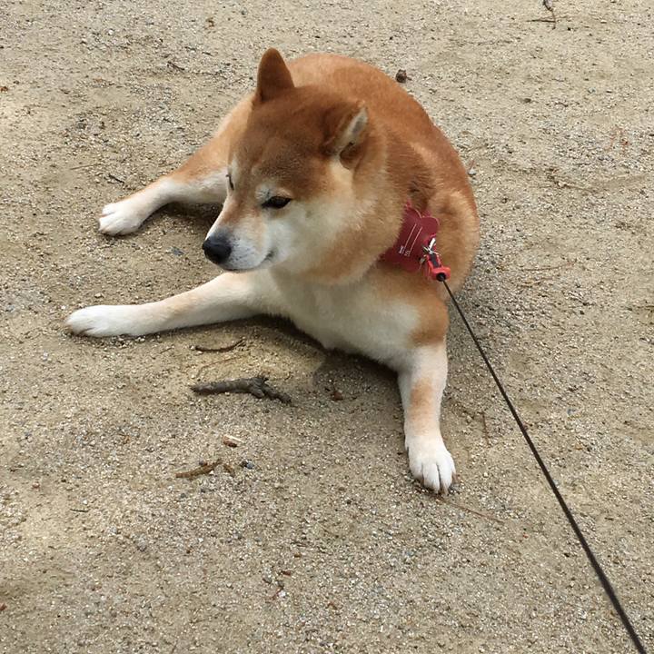 1af50fe1 cc97 4365 ae49 9a0646a5fa69 1540171420577