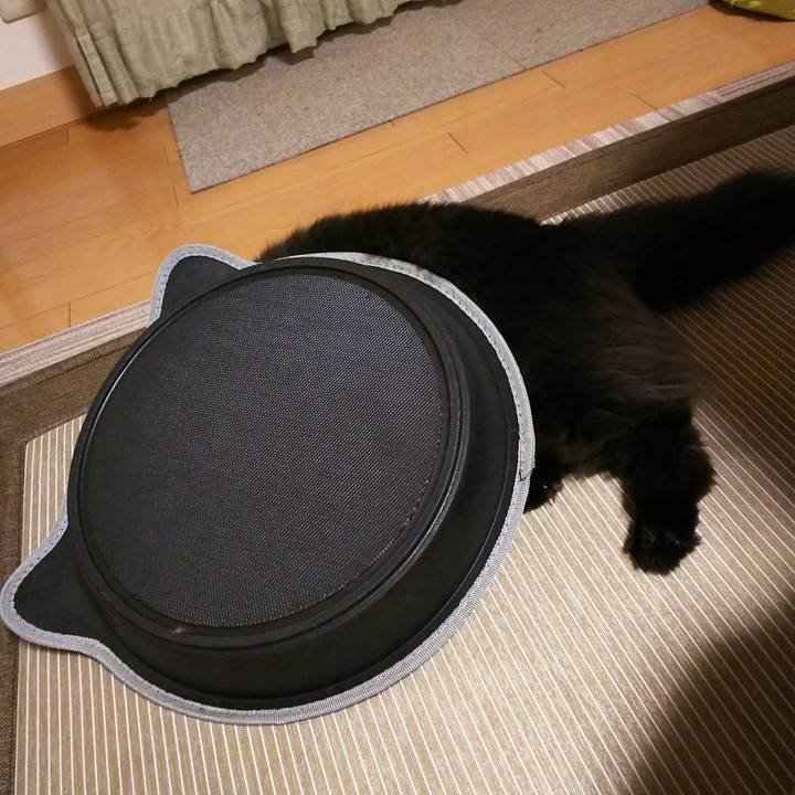 1af5101c c112 4749 a8c3 03cfc47f1f86 1531133412654