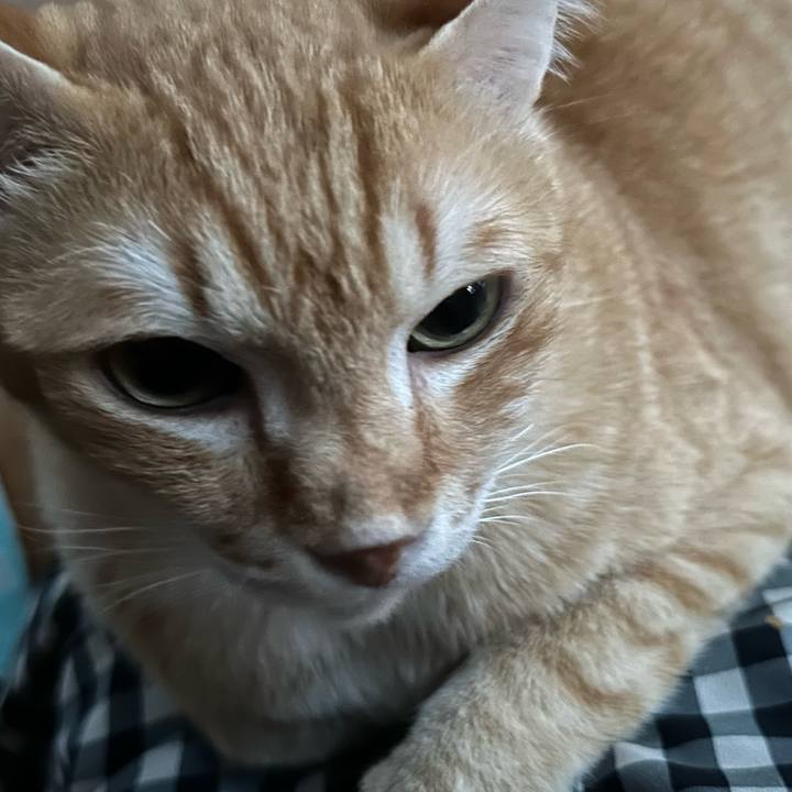 1af51a1c 248a 44f5 9e01 6a3ae6841b5a 1672042763941