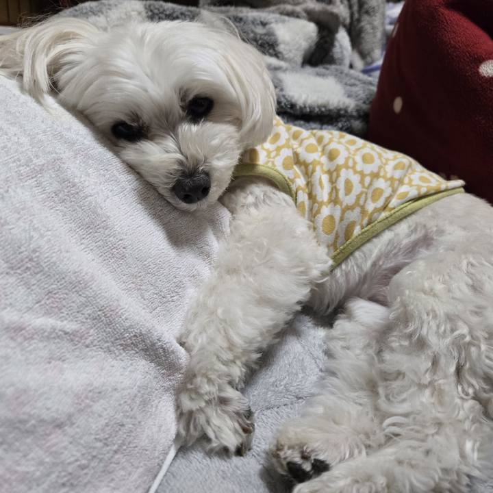 1af55da9 e386 4fce 8ddb 14cbbc8ce8a2 1773819374728