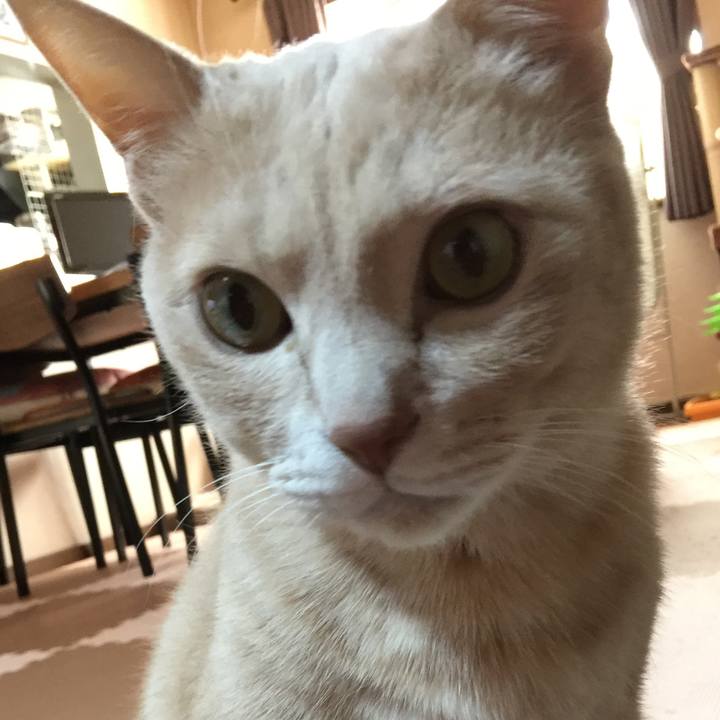 1af5b06c 9ebd 4fda aee6 9e08034d6c63 1581029579413