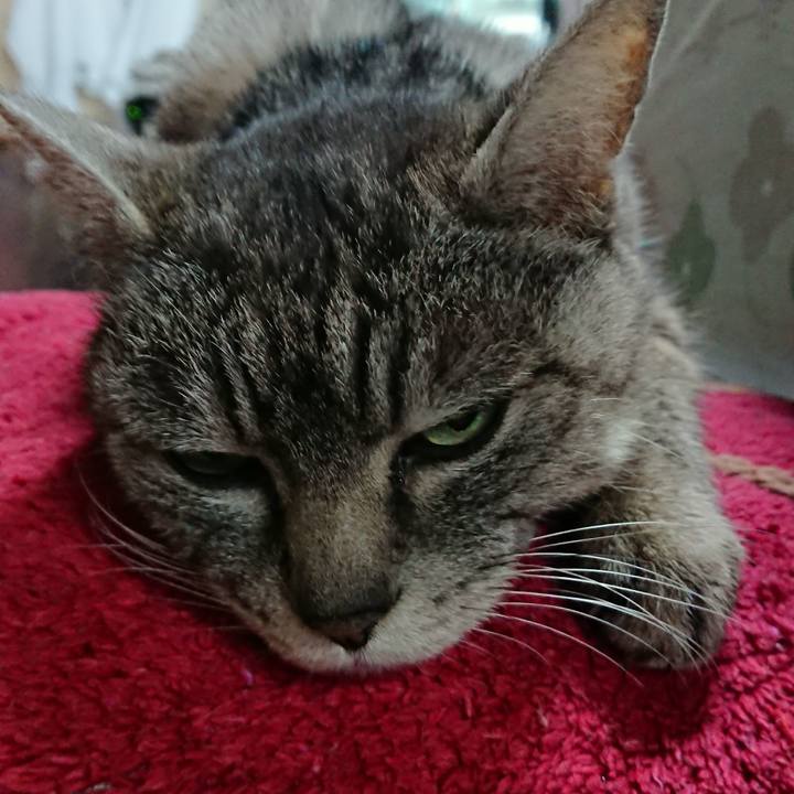 1af5b35d 27d8 4bb4 9e20 d651468b0feb 1551070230585