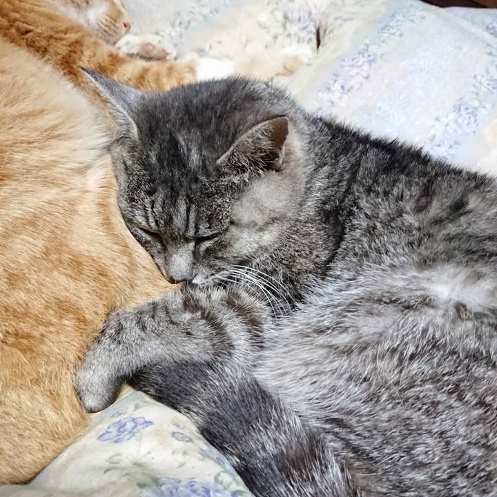 1af5b38b 0048 40df 827b 56393997f61e 1575806843123