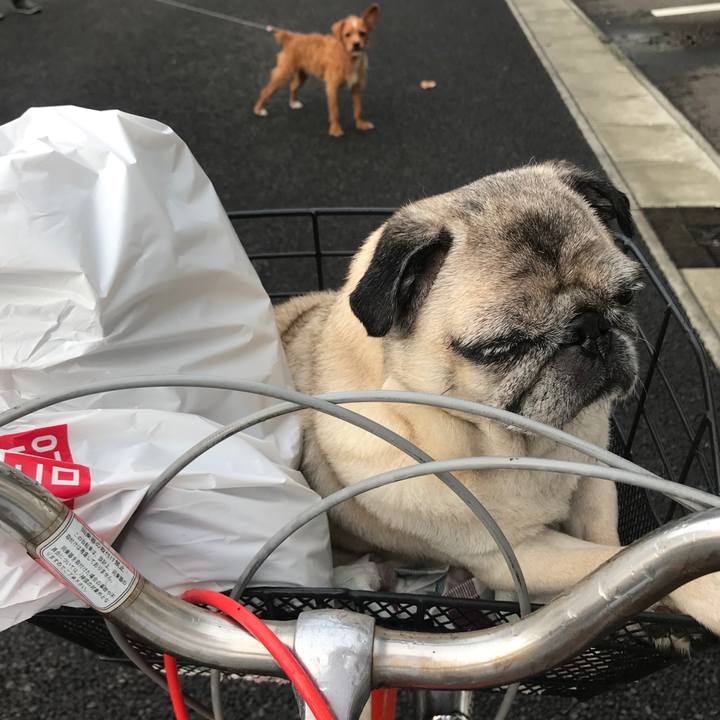 1af5bbc6 60ce 4cff 807e f8e49f0fe889 1563751567227