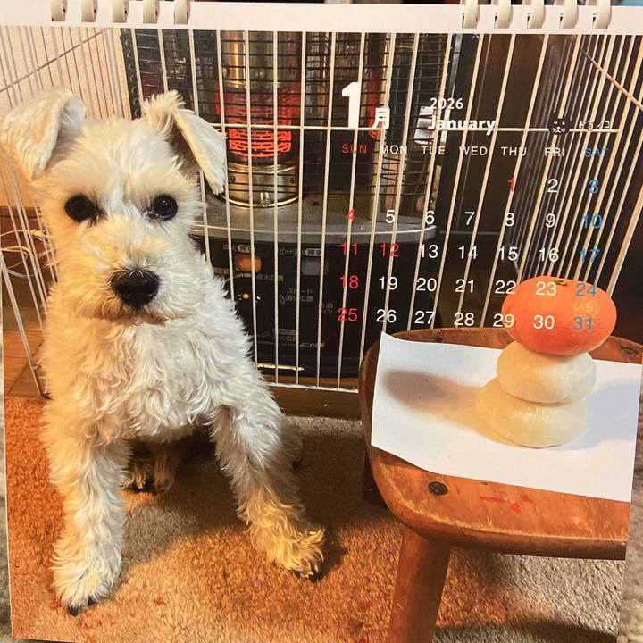 1af5bc7f 2926 43b2 bd87 1573596367f5 1767452104249