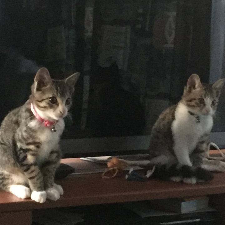 1af5c3a5 13a3 46bc 9e6a 8b9f14eb0487 1656944800166