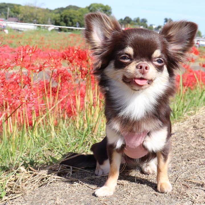 1af5e821 5ec3 4067 bcde 3cc3ca24933e 1759722434541