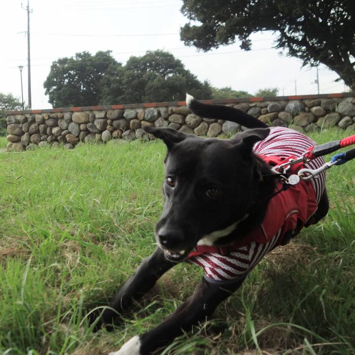 1af5eb8a 79e0 48a3 a0f1 1f57f8ada796 1598227112396