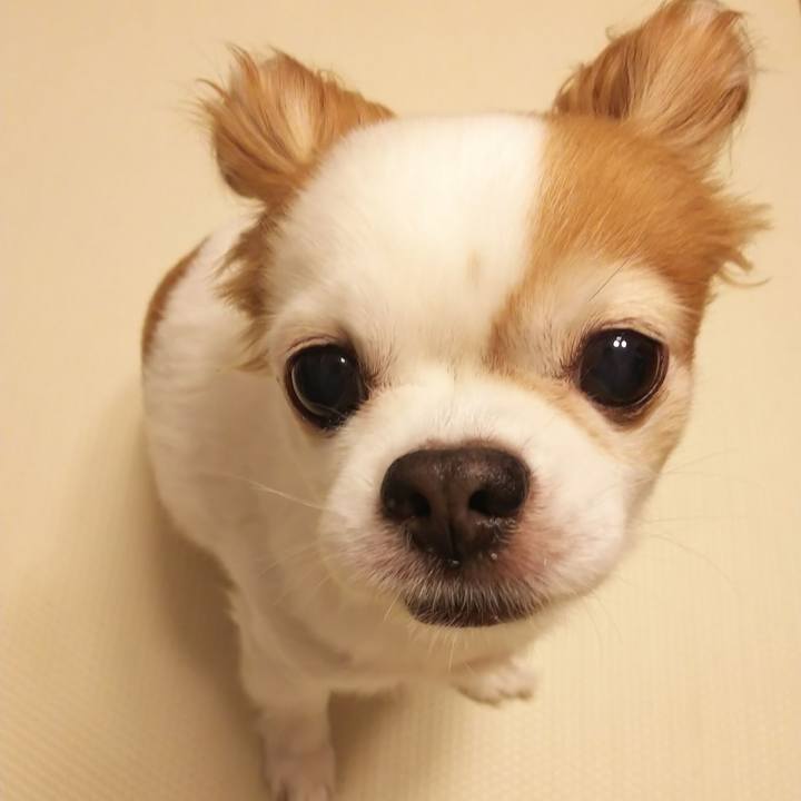 1af5ebfb 58c4 4b7b b5f9 4856cbd18530 1588091154506