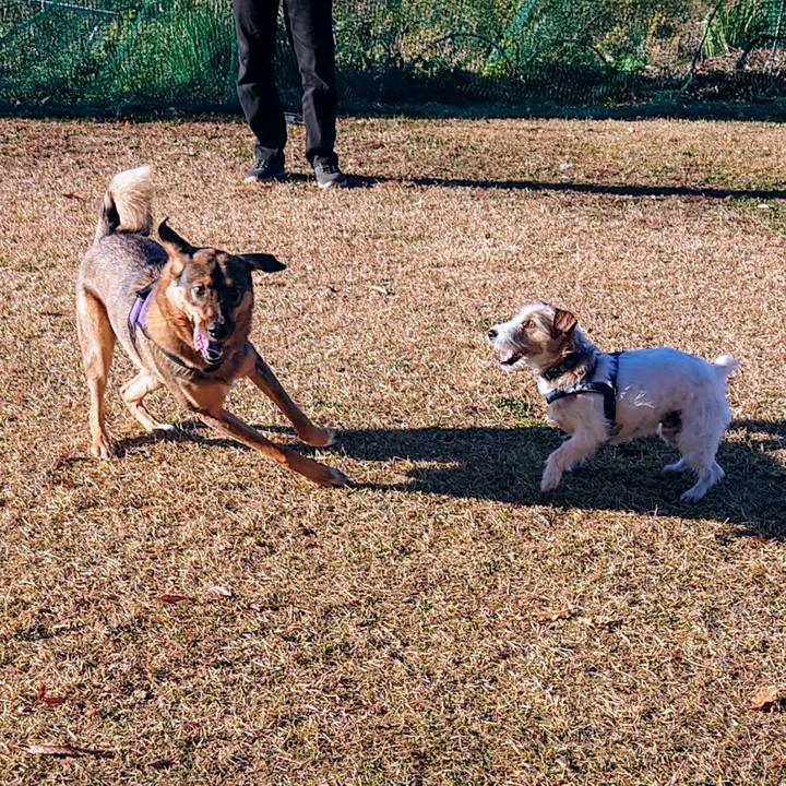 1af5f391 4f5a 456a 8db6 1ade2ffcceb0 1701492330031