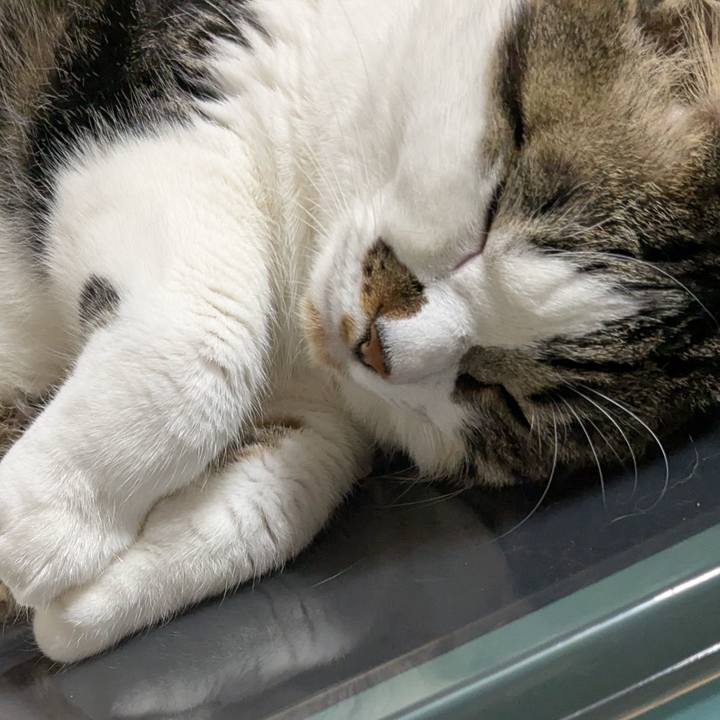 1af64ed1 8a6b 4473 a6b6 786231e250a1 1749373390929