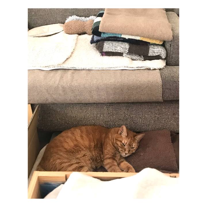 1af699d1 c0db 42a2 b180 637eb2ef408c 1641010517216