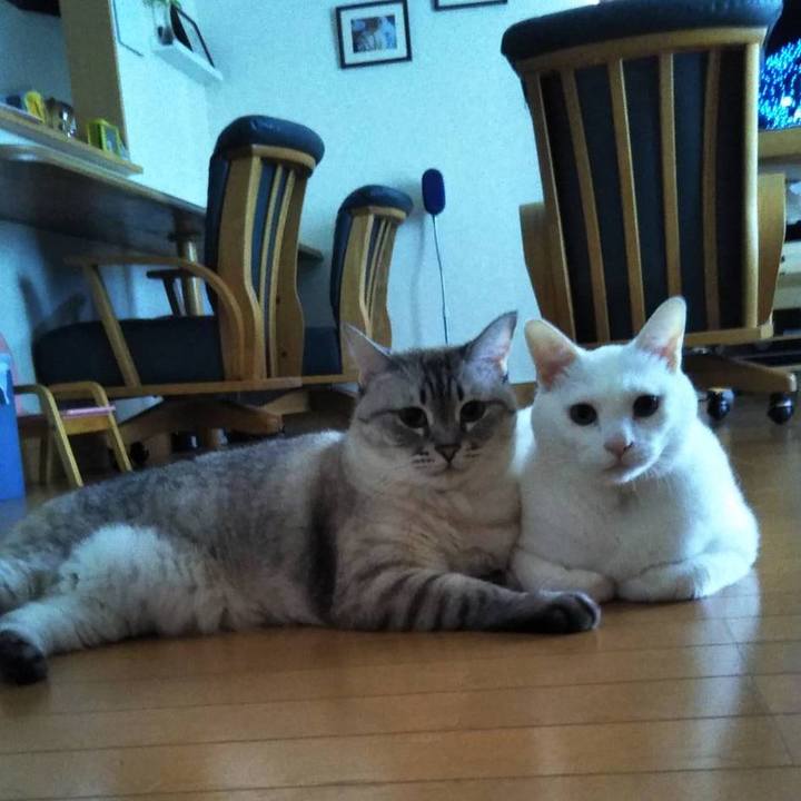 1af6b83c 2f6e 4f2d 94bf f654ecfbd2fa 1629971097998