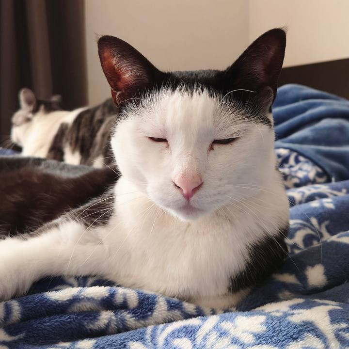 1af6c2f4 603e 4318 a220 54edbc623f76 1641007509527